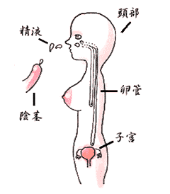 jyufun.gif